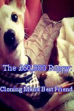 Watch The 60,000 Puppy: Cloning Man's Best Friend Megashare9