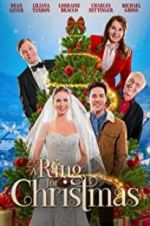 Watch A Ring for Christmas Megashare9