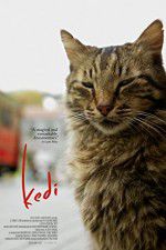 Watch Kedi Megashare9