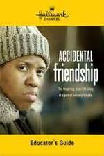 Watch Accidental Friendship Megashare9