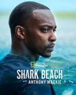 Watch Shark Beach with Anthony Mackie Megashare9