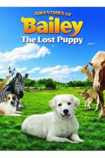 Watch Adventures of Bailey The Lost Puppy Megashare9