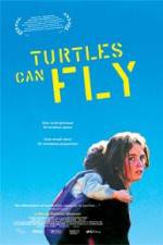 Watch Turtles Can Fly Megashare9