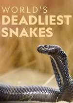 Watch World's Deadliest Snakes Megashare9