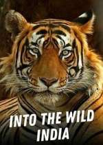 Watch Into the Wild India Megashare9