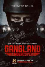 Watch Gangland Undercover Megashare9