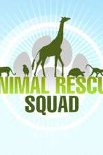 Watch Animal Rescue Squad Megashare9