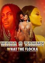 Watch Waka & Tammy: What the Flocka Megashare9