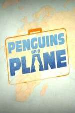 Watch Penguins on a Plane Megashare9