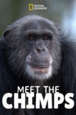 Watch Meet the Chimps Megashare9