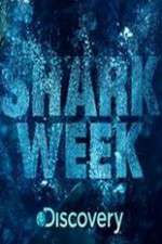 Watch Shark Week Megashare9