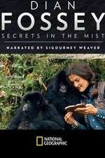 Watch Dian Fossey: Secrets in the Mist Megashare9