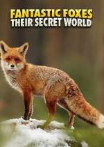 Watch Fantastic Foxes: Their Secret World Megashare9