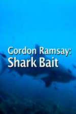 Watch Gordon Ramsay: Shark Bait Megashare9