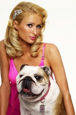 Watch Paris Hilton's British Best Friend Megashare9
