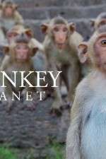 Watch Monkey Planet Megashare9