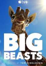 Watch Big Beasts Megashare9