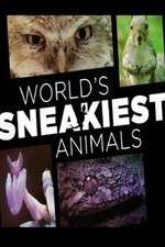 Watch World's Sneakiest Animals Megashare9