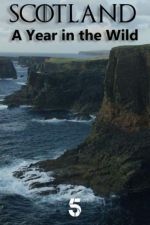 Watch Scotland: A Wild Year Megashare9