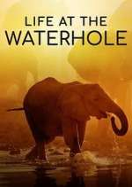Watch Life at the Waterhole Megashare9