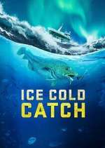 Watch Ice Cold Catch Megashare9