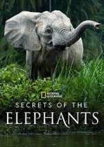 Watch Secrets of the Elephants Megashare9