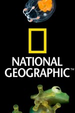 Watch Nat Geo Amazing! Megashare9