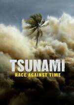 Watch Tsunami: Race Against Time Megashare9