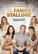 Watch The Family Stallone Megashare9