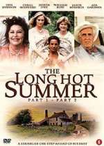 Watch The Long Hot Summer Megashare9