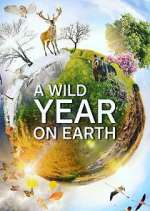 Watch A Wild Year on Earth Megashare9