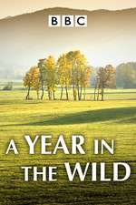 Watch A Year in the Wild Megashare9