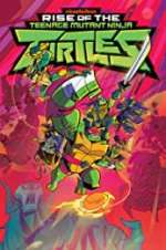 Watch Rise of the Teenage Mutant Ninja Turtles Megashare9