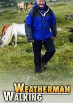 Watch Weatherman Walking Megashare9