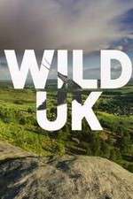 Watch Wild UK Megashare9