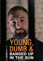 Watch Young Dumb & Banged Up in the Sun Megashare9