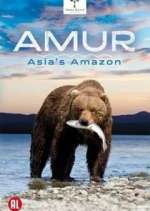 Watch Amur Asia's Amazon Megashare9