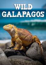 Watch Wild Galapagos Megashare9