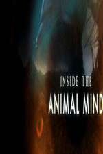 Watch Inside the Animal Mind Megashare9