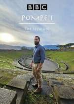 pompeii: the new dig tv poster