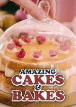 Watch Amazing Cakes & Bakes Megashare9