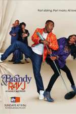 Watch Brandy and Ray J: A Family Business Megashare9