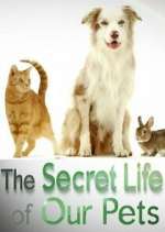 Watch The Secret Life of Our Pets Megashare9