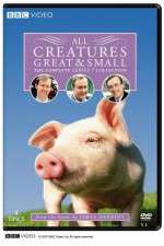 Watch All Creatures Great and Small Megashare9