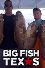 Watch Big Fish Texas Megashare9