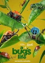 Watch A Real Bug's Life Megashare9