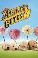 Watch America's Cutest Megashare9