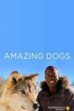 Watch Amazing Dogs Megashare9