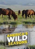 Watch America's Wild Seasons Megashare9