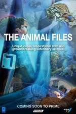 Watch The Animal Files Megashare9